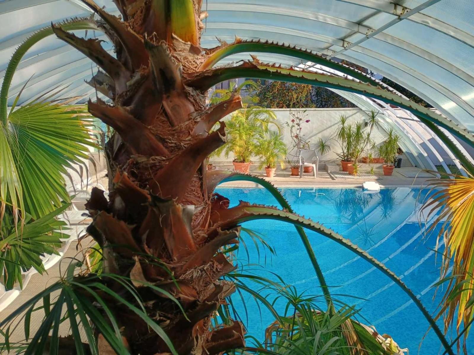 Enis Hotel С Минерален Басейн Sapareva Banya Eksteriør billede